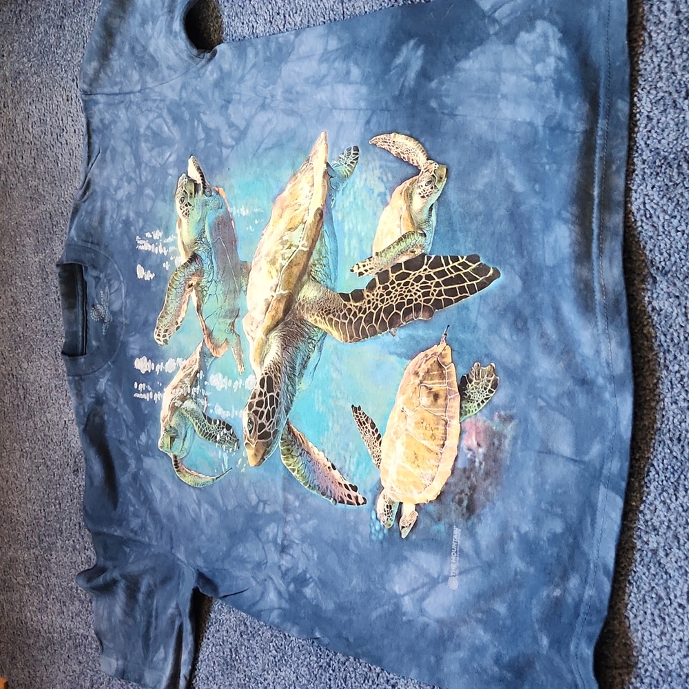 The mountain Sea Turtles tee shirt